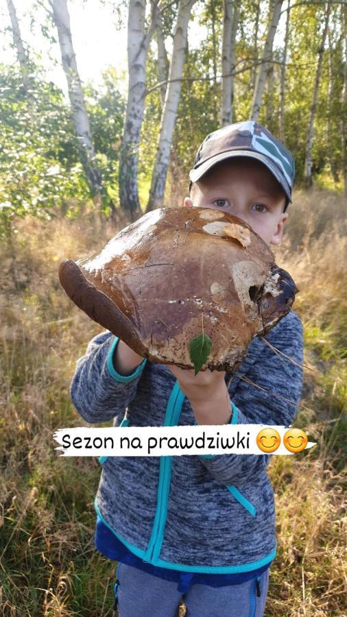 Aris Pokoje Goscinne Wojnicz Exteriér fotografie